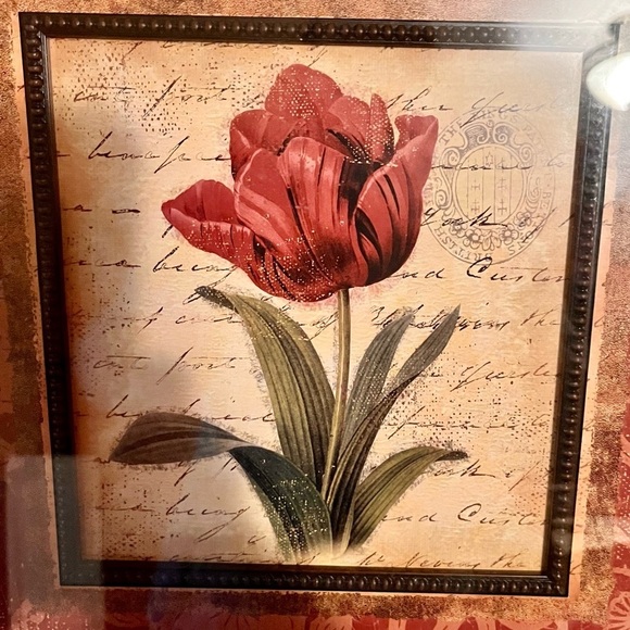 Framed Burgandy Tulip Art Print Brown Engraved Frame Artist is Elizabeth Brownd - Picture 4 of 11